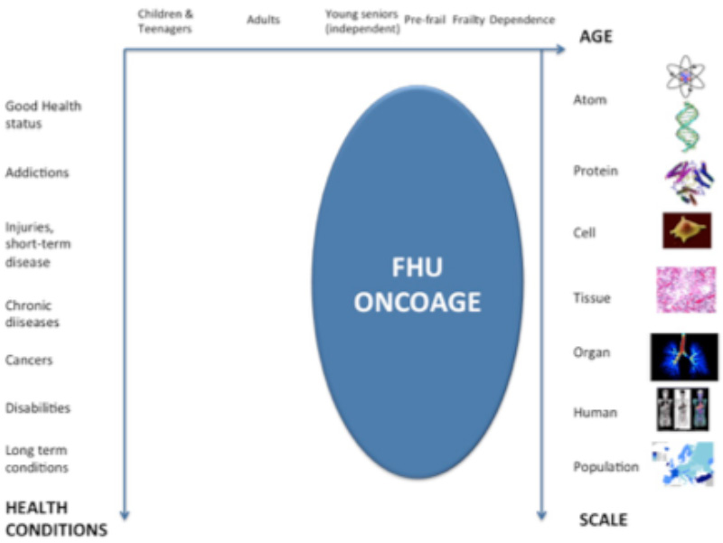 graph-fhuoncoage